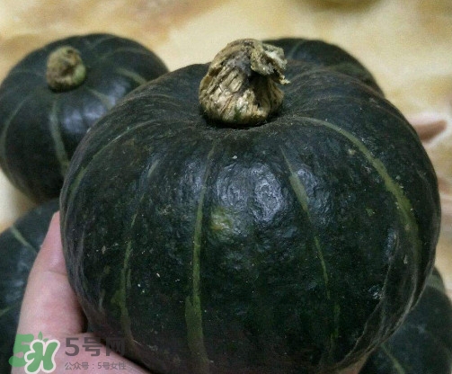 貝貝小南瓜多少錢(qián)一斤 貝貝南瓜哪里可以買(mǎi)到