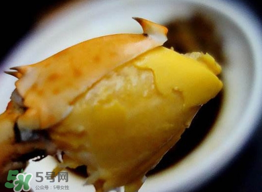 黃油蟹是什么蟹？黃油蟹多少錢一只
