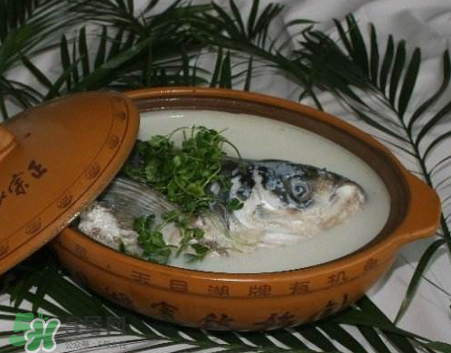 鰱魚頭湯孕婦可以吃嗎？鰱魚頭湯的功效與作用