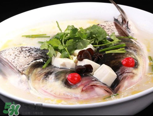 鰱魚頭湯孕婦可以吃嗎？鰱魚頭湯的功效與作用