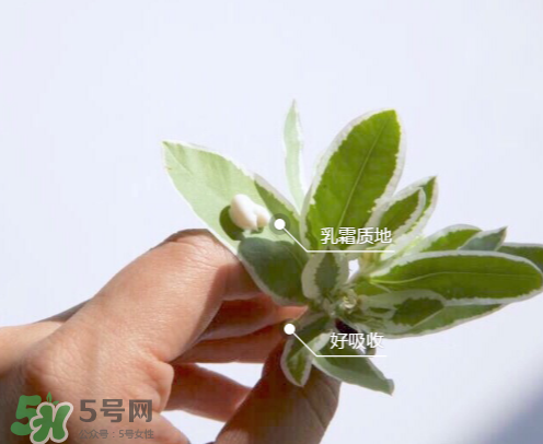 城野醫(yī)生377有副作用嗎？城野醫(yī)生377用了臉癢是什么原因？
