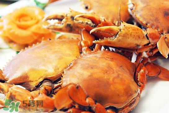 黃油蟹是什么蟹？黃油蟹多少錢一只