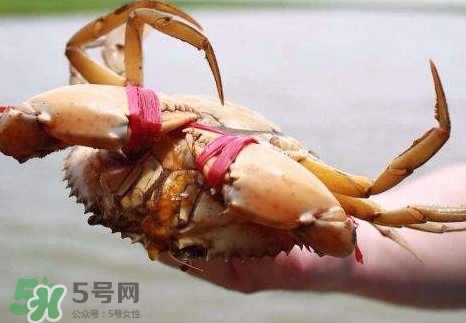 黃油蟹的選蟹標(biāo)準(zhǔn)是什么？黃油蟹的等級(jí)分類