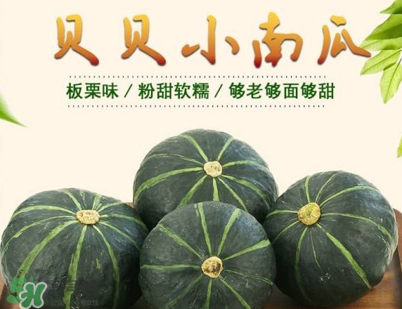 貝貝南瓜蒸多久能吃？貝貝南瓜和普通南瓜有什么區(qū)別