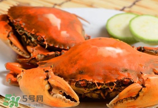 黃油蟹的選蟹標(biāo)準(zhǔn)是什么？黃油蟹的等級(jí)分類