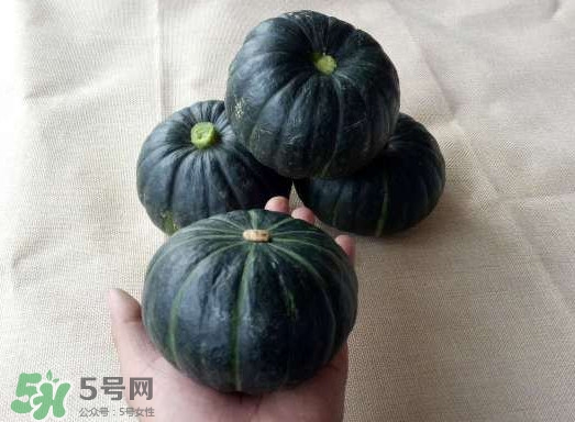 貝貝南瓜是哪里的？貝貝南瓜哪里產(chǎn)的