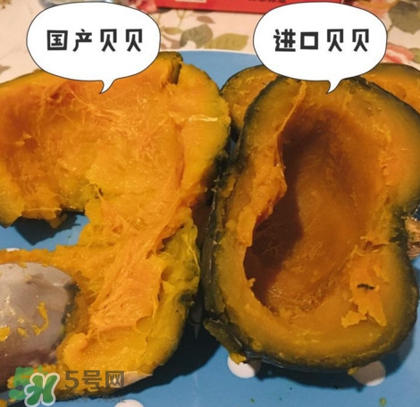 貝貝南瓜怎么挑選？貝貝南瓜有假的嗎
