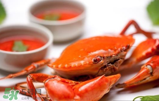 黃油蟹是海蟹嗎？黃油蟹是如何進化的
