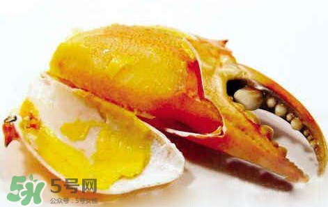 黃油蟹放冰箱能放多久？黃油蟹怎么挑選