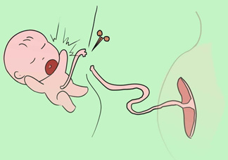 寶寶臍帶什么時候脫落？寶寶臍帶脫落后怎么護(hù)理？