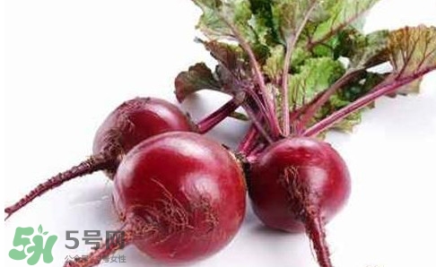 甜菜根是蘿卜嗎？甜菜根是什么菜