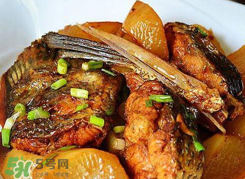 鱸魚可以紅燒嗎？鱸魚清蒸還是紅燒好吃？