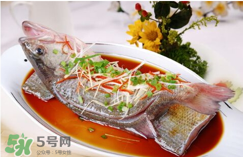 鱸魚為什么沒有刺？鱸魚為什么刺少？