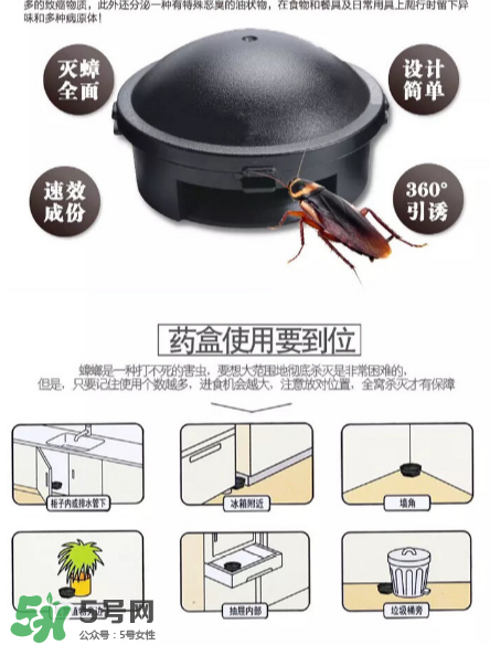 日本蟑螂藥好用嗎？日本蟑螂藥效果評測