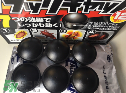 日本蟑螂藥哪里買(mǎi)得到？