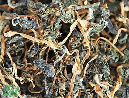 梅干菜是哪里的特產(chǎn)？梅干菜是發(fā)物嗎