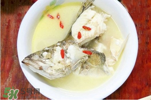 鯉魚湯怎么做好吃？鯉魚湯里面可以放什么？