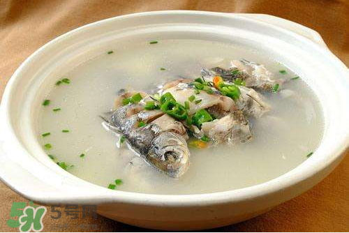 鯽魚湯下奶嗎？鯽魚湯的功效與作用