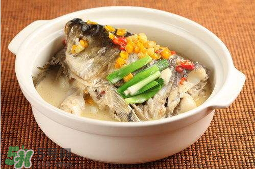 青魚湯怎么做好吃？青魚湯的功效與作用