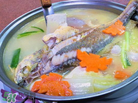 黃魚湯怎么做好吃？黃魚湯的營養(yǎng)價(jià)值