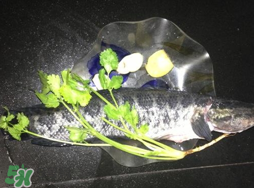 黑魚(yú)湯對(duì)傷口有好處嗎？黑魚(yú)湯的做法術(shù)后恢復(fù)