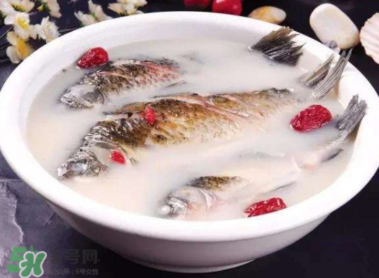 鯽魚(yú)湯里可以放什么菜最好？鯽魚(yú)燉湯放什么菜？