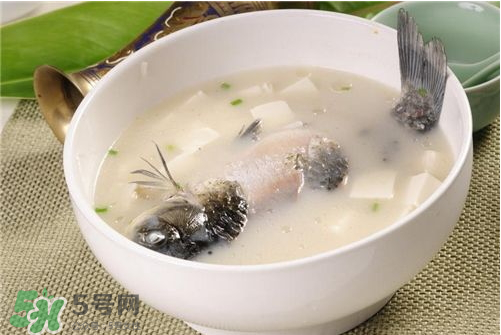 喝鯽魚湯會胖嗎？鯽魚湯可以經(jīng)常喝嗎？