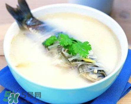 鯽魚湯可以放牛奶嗎？牛奶鯽魚湯的做法