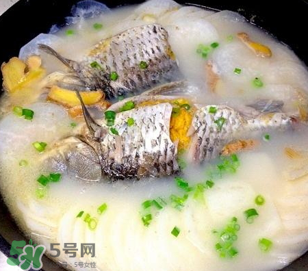 鯽魚湯可以放牛奶嗎？牛奶鯽魚湯的做法
