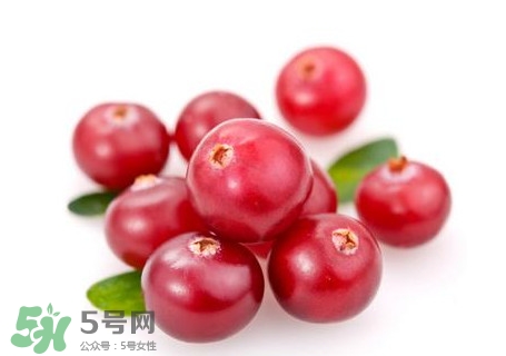 蔓越莓在中國有嗎？蔓越莓怎么辨別真假