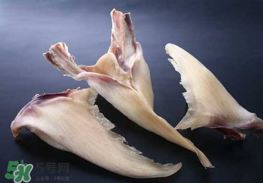 干魚翅怎么保存？魚翅可以放多久？