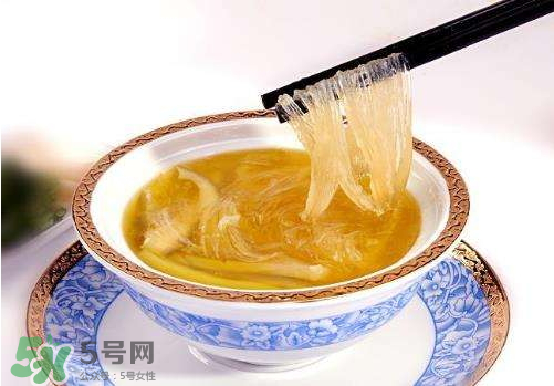 干魚翅怎么保存？魚翅可以放多久？
