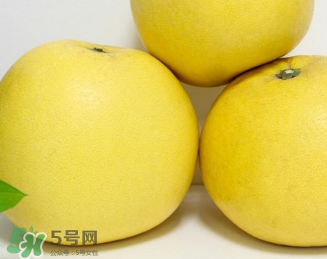 蜜柚是哪個季節(jié)的水果？蜜柚和沙田柚的區(qū)別是什么？