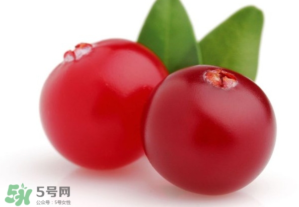 蔓越莓是藍(lán)莓嗎？蔓越莓是哪里產(chǎn)的