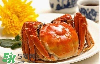 孕婦能吃蟹棒嗎？孕婦能吃什么海鮮？