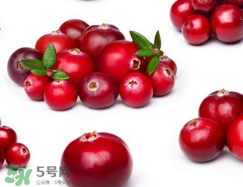蔓越莓是藍(lán)莓嗎？蔓越莓是哪里產(chǎn)的