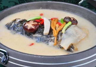 鰱魚湯怎么熬湯？鰱魚湯的功效與作用