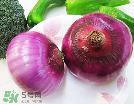 洋蔥狗狗能吃嗎？狗狗吃了洋蔥怎么辦？