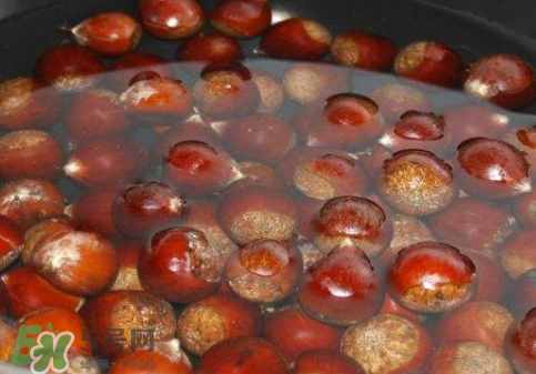 板栗用冷水還是熱水煮？煮板栗用冷水還是熱水？
