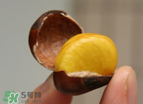 板栗用冷水還是熱水煮？煮板栗用冷水還是熱水？