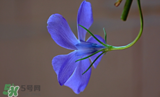 見封滾是什么意思？
