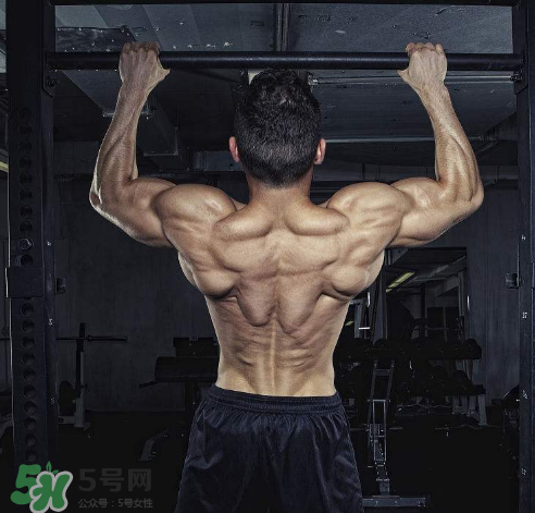 引體向上背部怎么發(fā)力？引體向上發(fā)力技巧