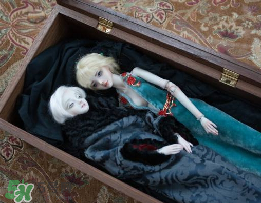 Enchanted Doll多少錢？Enchanted Doll哪里買？