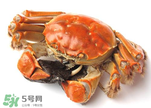 螃蟹里面有寄生蟲嗎？螃蟹有寄生蟲還可以吃嗎？