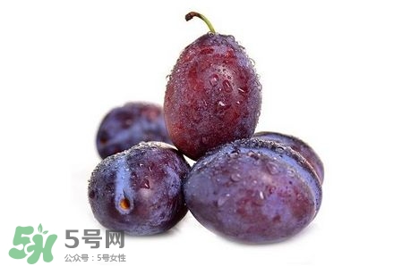 西梅可以放冰箱嗎？西梅放冰箱冷藏還是冷凍？