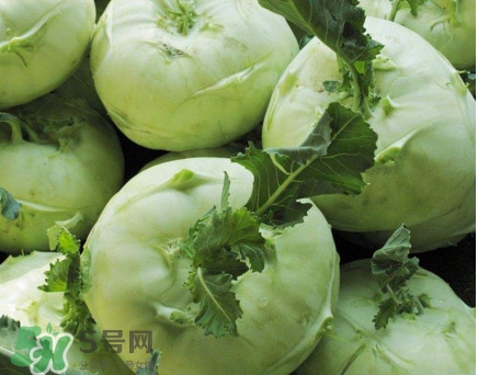 苤藍(lán)什么季節(jié)種植？苤藍(lán)什么時(shí)候采收