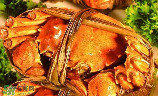 螃蟹吃什么食物長得大？十月份吃什么螃蟹？
