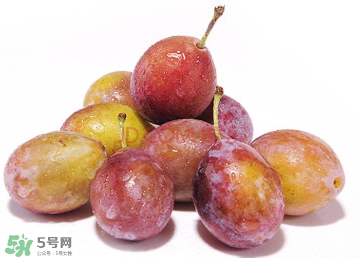 西梅汁怎么做？西梅汁的功效與作用 