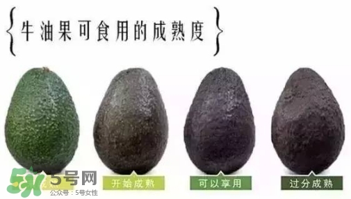 牛油果是什么味道？牛油果是甜的嗎？