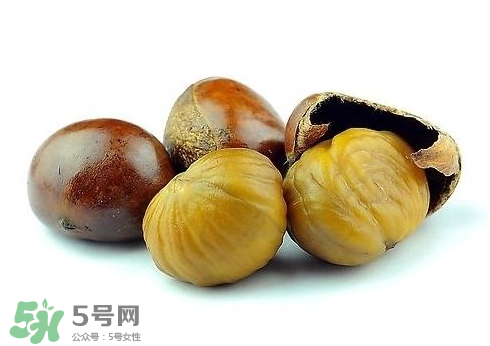 板栗酒每次喝多少合適？板栗泡酒一次喝多少？